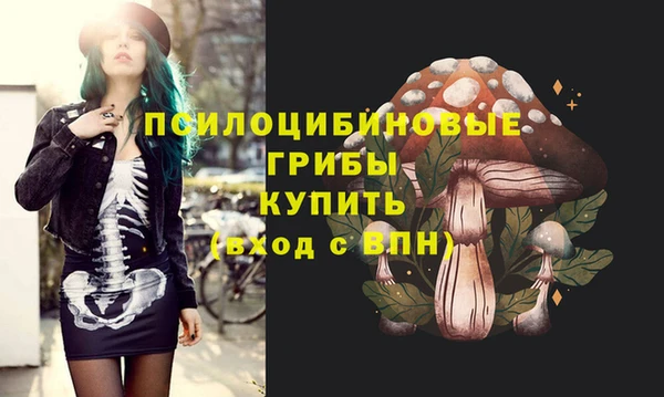 круглые Алексеевка