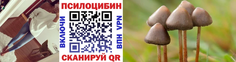 Галлюциногенные грибы мицелий  Кизилюрт 