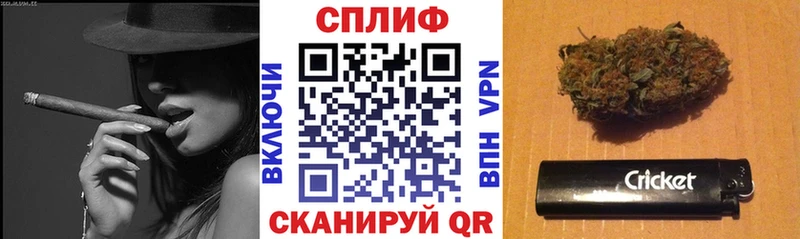Конопля конопля Кизилюрт
